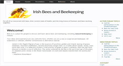 Desktop Screenshot of bees.ie